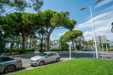 Amazing apartment buildings in left part of Croisette. There celebrities go to bars and night clubs. Amazing park from pine trees and palm trees and grass at ground. Cars in parking lots (luxury convertible car at left)の写真素材