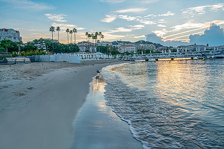 Amazing sunrise in Cannes (beach maybe of Palais des Festivals et des Congres) Huge albatross (seagull) on wet sand and palms of Crostte in distance, White umbrellas are closed. No people early at morningの写真素材