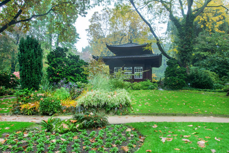 Fantastic May view on Azalea (rhododendron) blossoms in Leverkusen Japanese garden.In distance stylized pagoda building (decorative). Free of charge garden.の写真素材