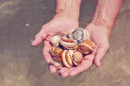 Hands full of sea shellsの写真素材