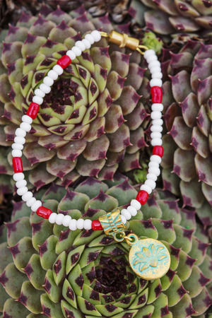 yoga bracelet with natural beads on houseleek backgroundの写真素材