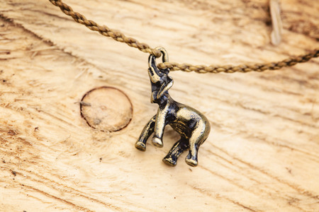 Tiny fashionable female bracelet on wooden backgroundの写真素材