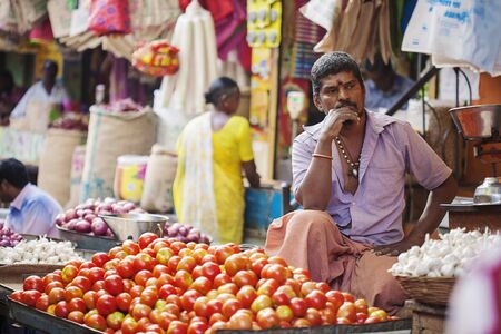 Udaipur, Rajasthan, India, January 31, 2018: Vegetable sellet at Public city marketのeditorial素材