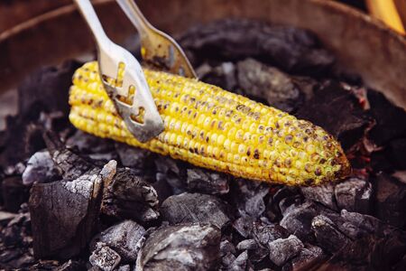 Yellow corn roasted on fire from black carbonsの写真素材
