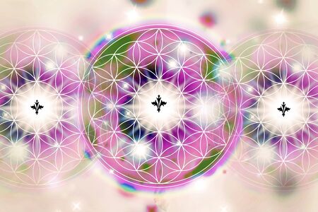 Flower of life sacred geometry pattern abstract backgroundの写真素材