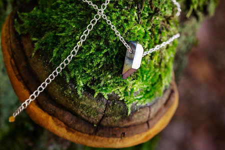 Crystal quartz electroplated on silver chain placed on mossy polypore