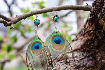 Peacock feather earrings with mineral bead hanging in natureの写真素材