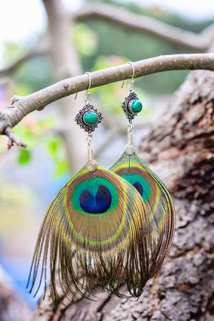 Peacock feather earrings with mineral bead hanging in natureの写真素材