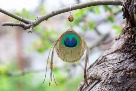 Peacock feather earrings with mineral bead hanging in natureの写真素材
