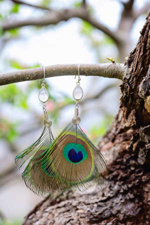 Peacock feather earrings with mineral bead hanging in natureの写真素材
