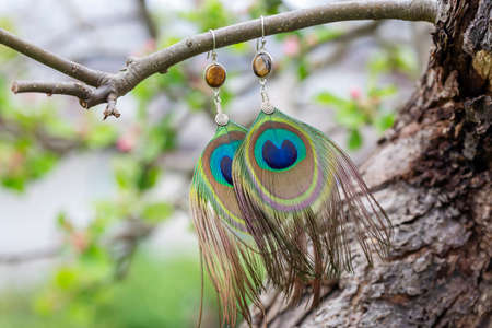 Peacock feather earrings with mineral bead hanging in natureの写真素材