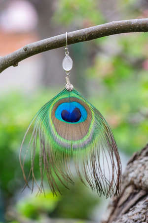Peacock feather earrings with mineral bead hanging in natureの写真素材