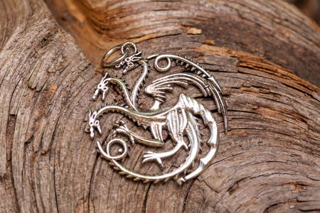 Brass metal pendant on natural background in the shape of dragonの写真素材