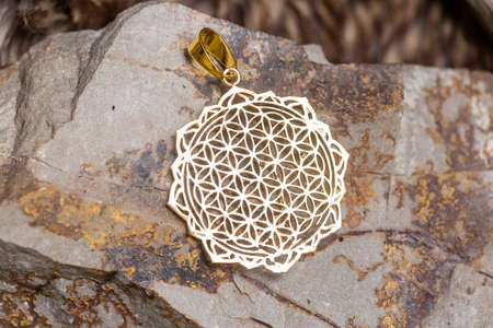 Brass metal pendant on natural background in the shape of dragonの写真素材