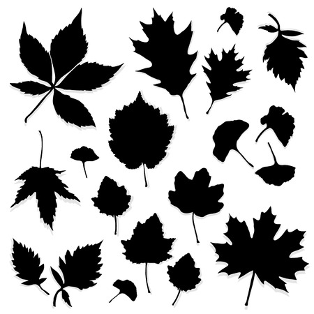 Leaves silhouetteのイラスト素材