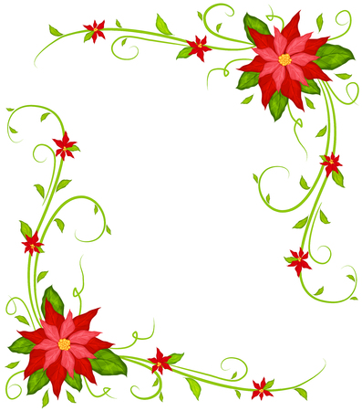 Poinsettia background のイラスト素材