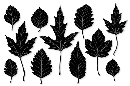 Leaves silhouette vector setのイラスト素材