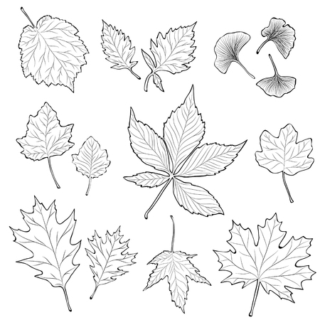 leaves silhouette setのイラスト素材