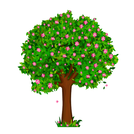 Spring tree with green leaves and pink flowers vectorのイラスト素材