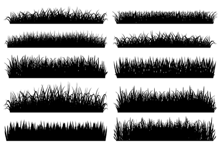 Grass borders silhouette on white backgroundのイラスト素材