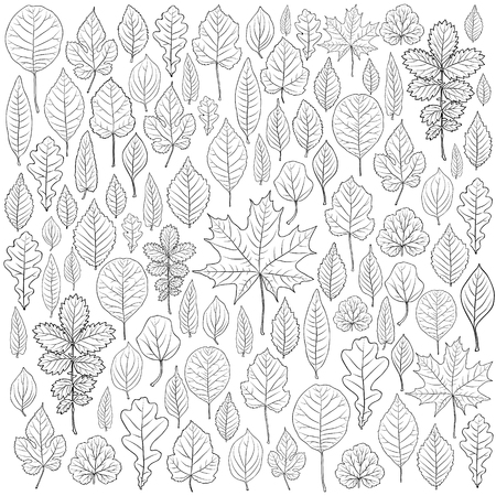 set of leaves silhouetteのイラスト素材