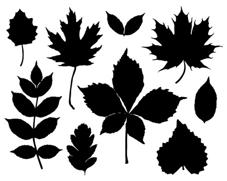set of leaves silhouetteのイラスト素材