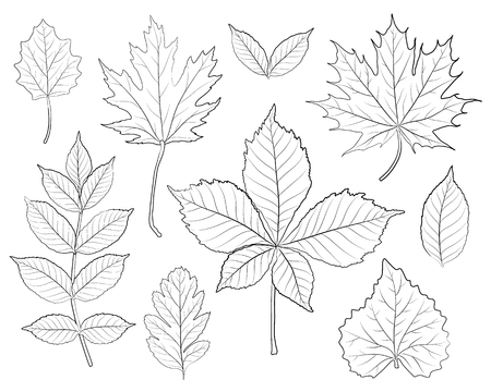 leaves silhouette setのイラスト素材