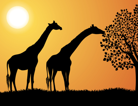 Giraffes in Africa vector backgroundのイラスト素材
