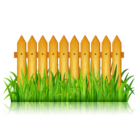 Garden fence with green grass on white background vectorのイラスト素材
