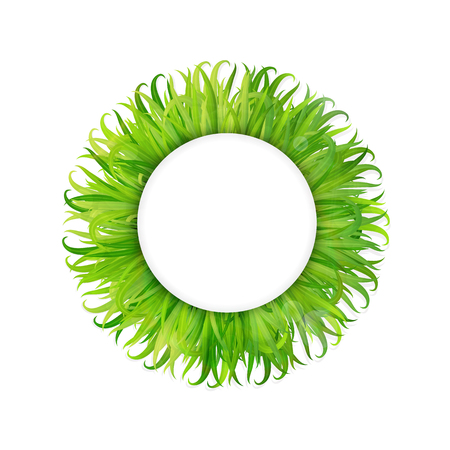 Green grass frame vector backgroundのイラスト素材