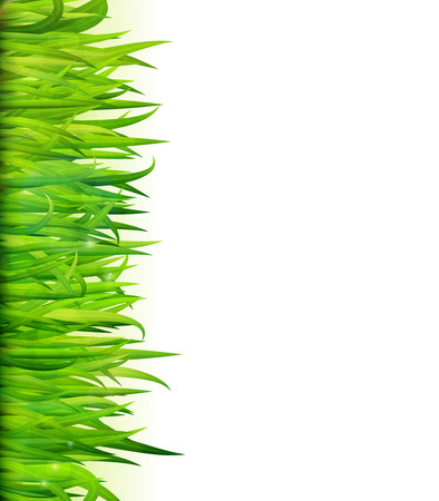 Green grass frame vector backgroundのイラスト素材