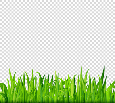 Green grass border on transparent background vectorのイラスト素材