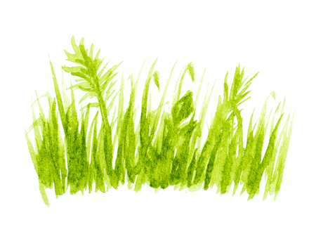 Nature background with green grass vectorのイラスト素材