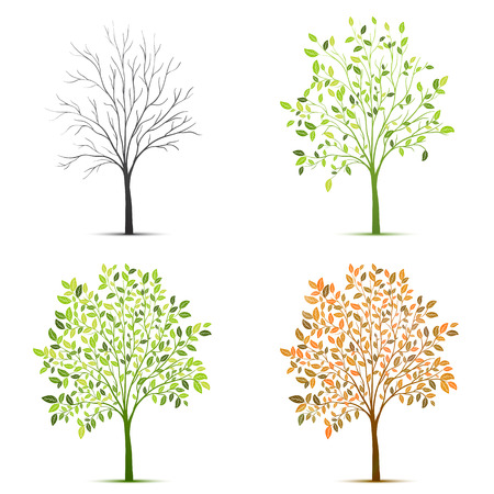 Four seasons of tree vectorのイラスト素材