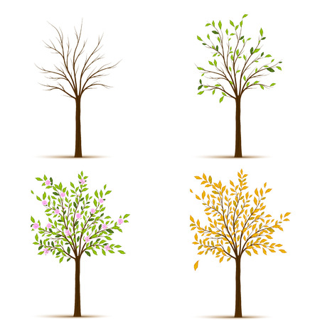 Four seasons trees vectorのイラスト素材