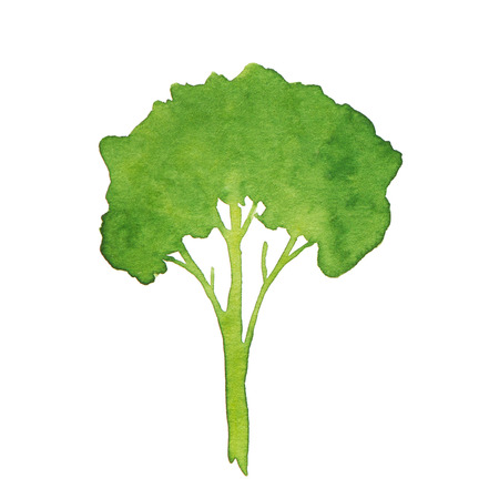 Watercolor green tree on white backgroundの写真素材