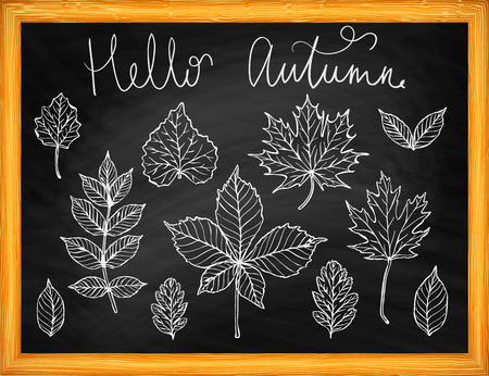 Hello autumn leaves silhouette on chalkboard vector backgroundのイラスト素材