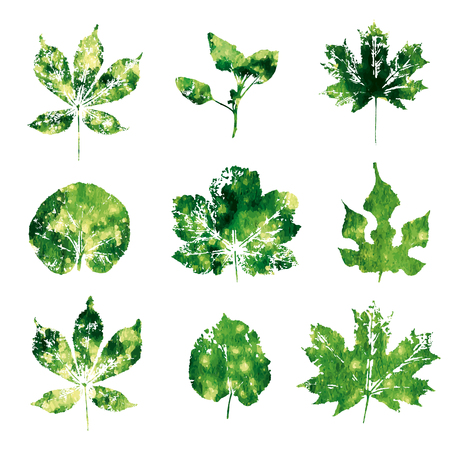 Green watercolor leaves imprints isolated on white background vectorのイラスト素材