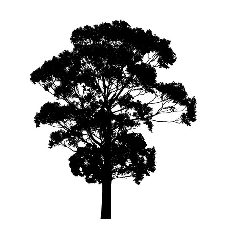 Silhouette of tree with leaves isolated on white background vectorのイラスト素材