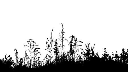 Grass silhouette border isolated on white background vectorのイラスト素材