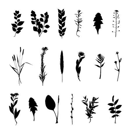 Plants silhouette set isolated on white background vectorのイラスト素材