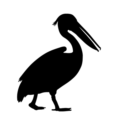 Pelican silhouette isolated on white background vectorのイラスト素材
