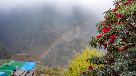Nepalese landscapeafter rain. Mountains, village, rainbow and rhododendronsの写真素材