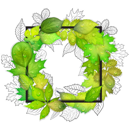 Green leaves frame on white background. Vector illustrationのイラスト素材