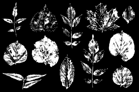 Leaves imprints set. Vector illustrationのイラスト素材