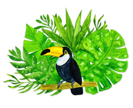 Watercolor tropical leaves and toucan on white backgroundの写真素材