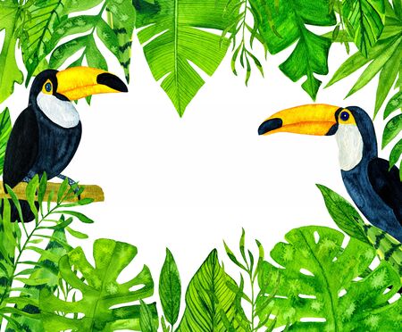 Watercolor tropical leaves and toucansの写真素材