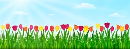 Spring nature landscape with colorful tulips, green grass and blue sky. Vector illustrationのイラスト素材