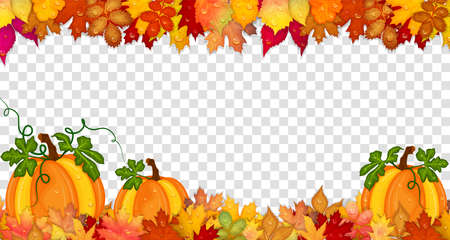 Autumn frame with pumpkins and colorful leaves isolated on transparent background. Vector illustrationのイラスト素材