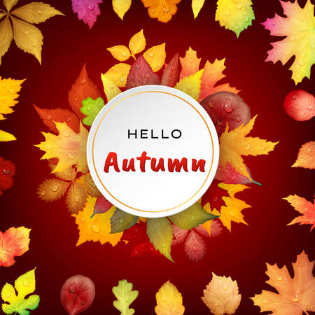 Hello autumn background with bright autumn leaves. Vector illustrationのイラスト素材